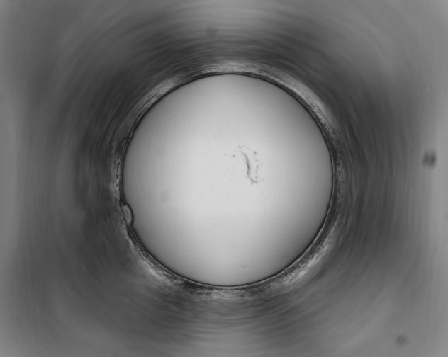 X0000099580857200806061625