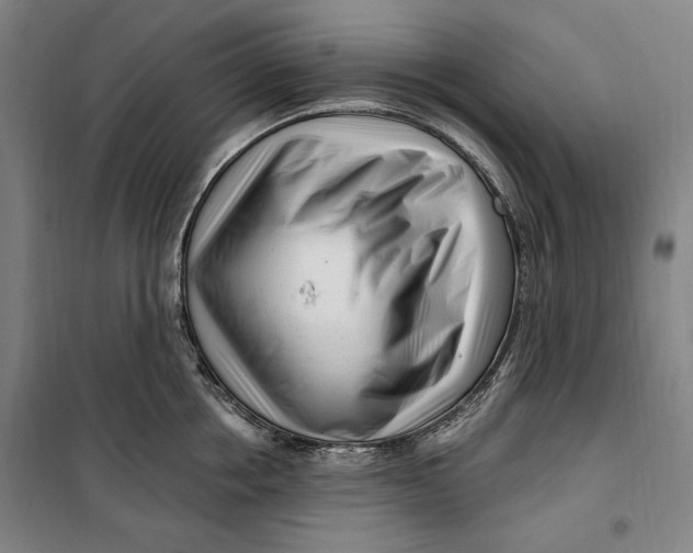 X0000099580858200806061625