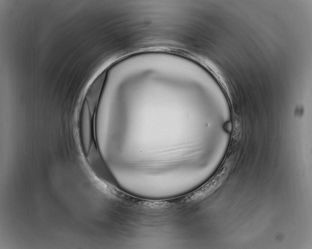 X0000099580859200806061625