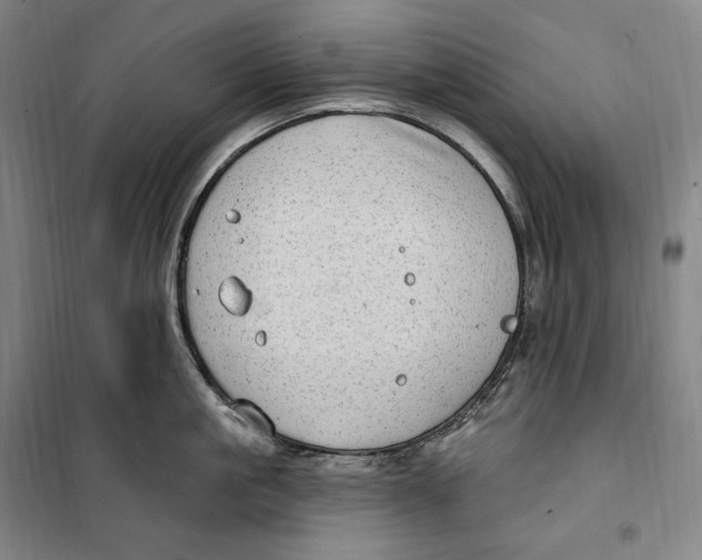 X0000099580861200806061625