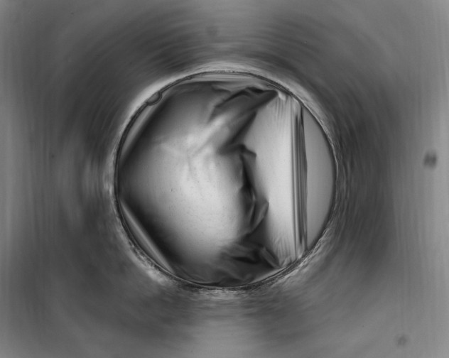 X0000099580862200806061625