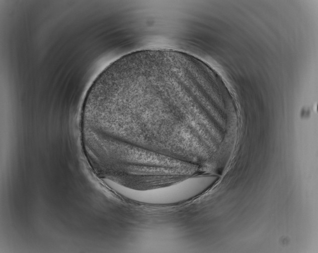 X0000099580864200806061625