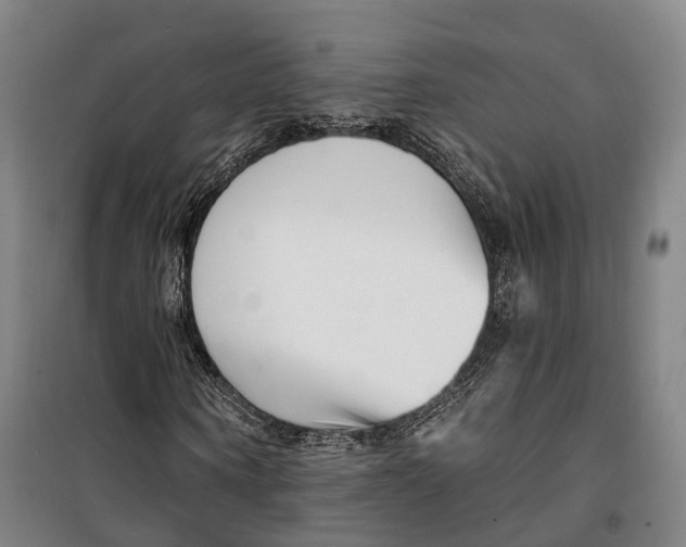 X0000099580866200806061624