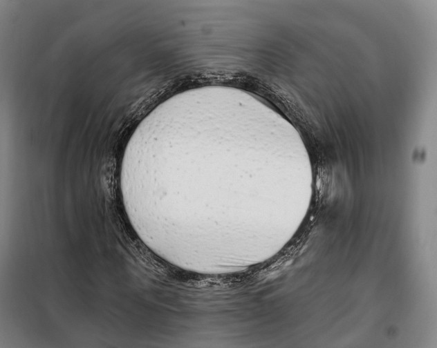 X0000099580867200806061624