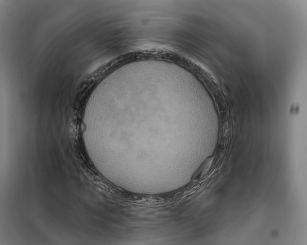 X0000099580869200806061624