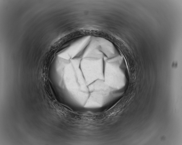 X0000099580870200806061624