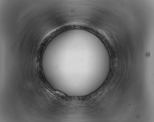 X0000099580872200806061624