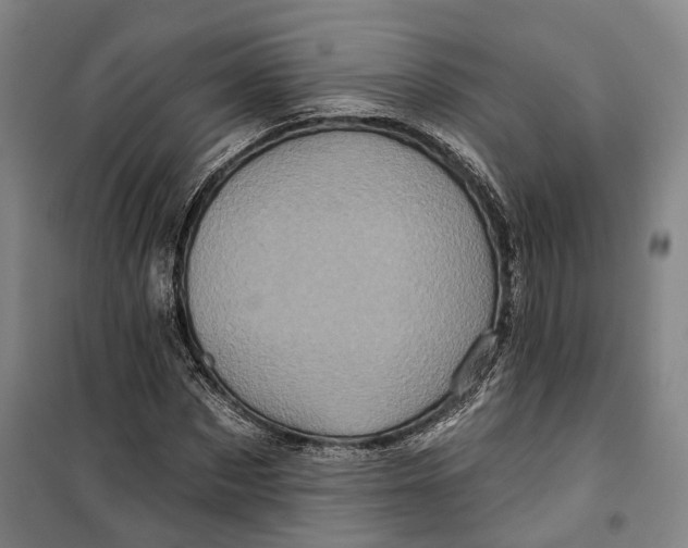 X0000099580873200806061624