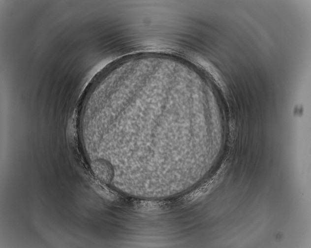 X0000099580875200806061624