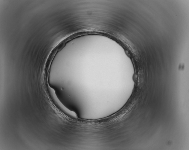 X0000099580876200806061624