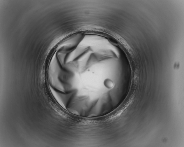 X0000099580877200806061624