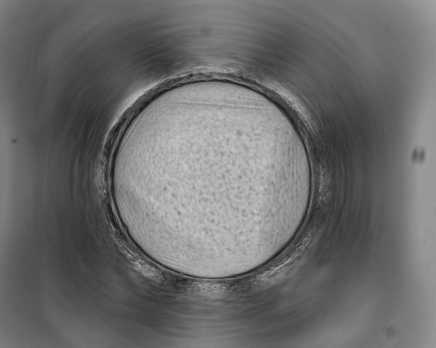 X0000099580878200806061624