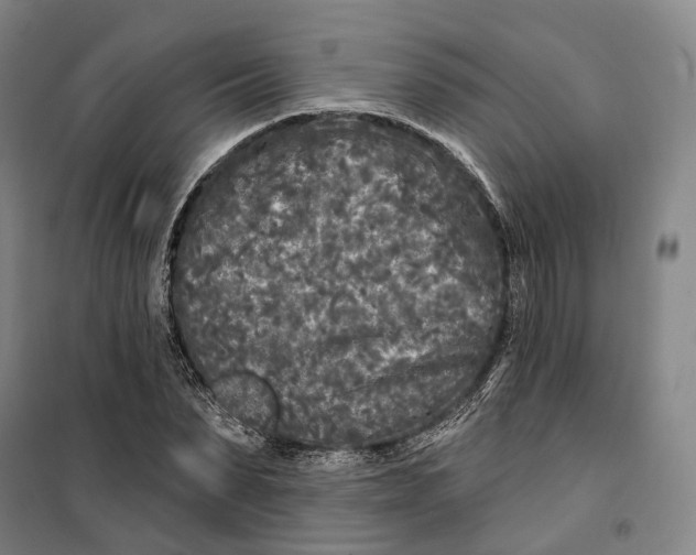 X0000099580879200806061624