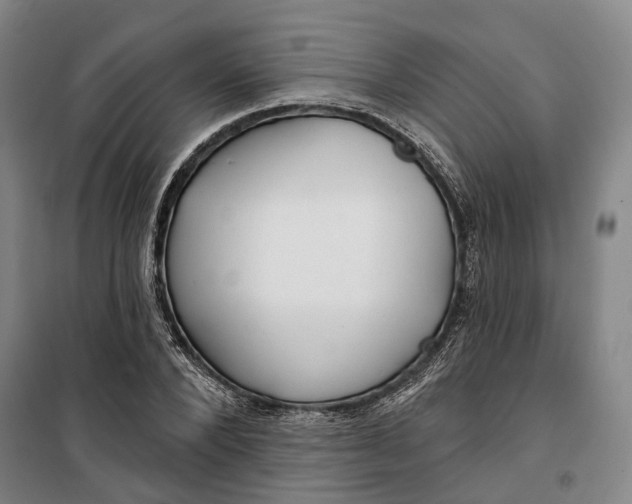 X0000099580880200806061624