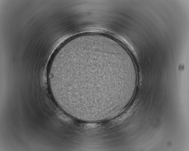 X0000099580883200806061624