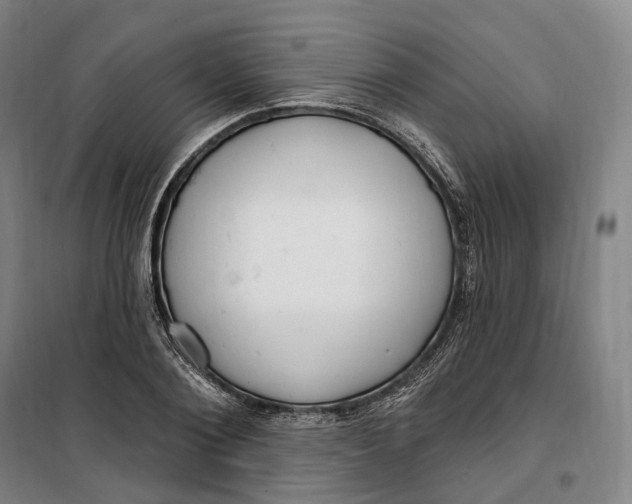 X0000099580884200806061624