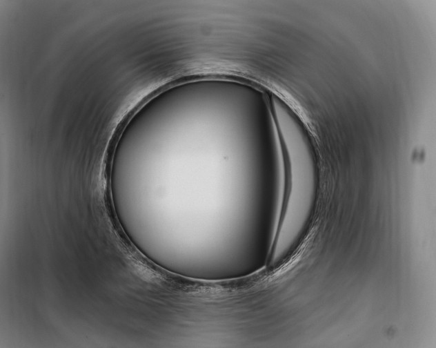 X0000099580885200806061624