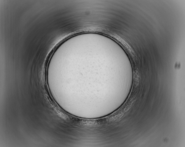 X0000099580886200806061624