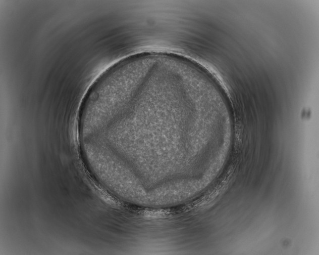 X0000099580887200806061624