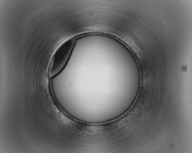 X0000099580888200806061624