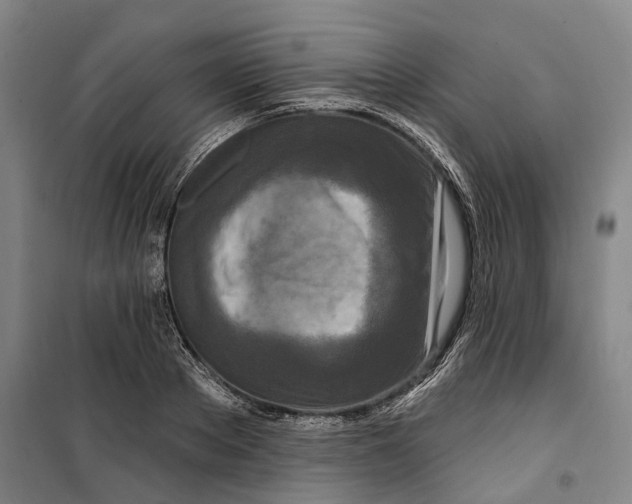 X0000099580889200806061624