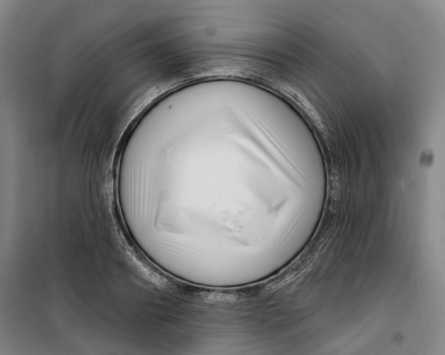 X0000099580890200806061624