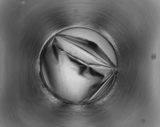 X0000099580892200806061624