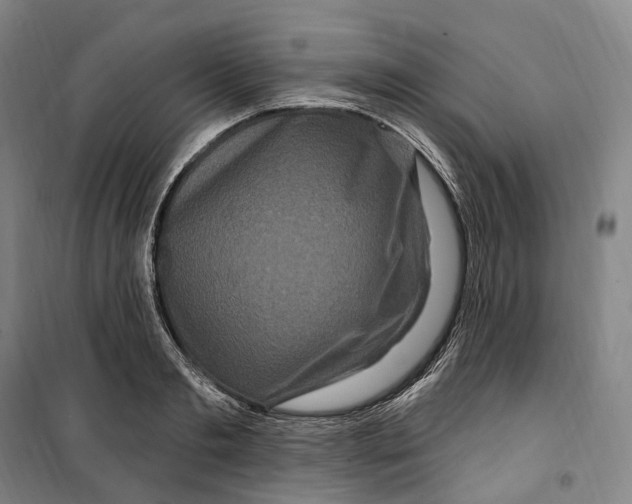 X0000099580893200806061624