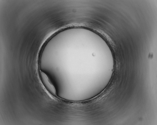 X0000099580894200806061624