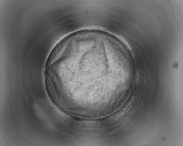 X0000099580895200806061624