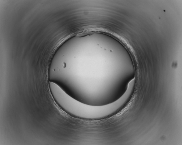 X0000099580897200806061624