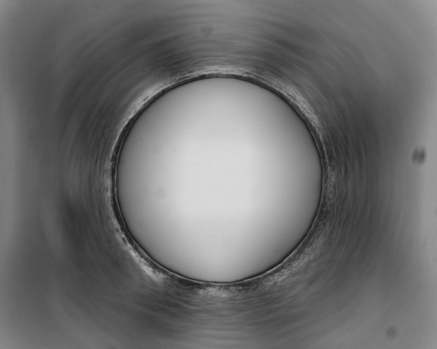 X0000099580898200806061624