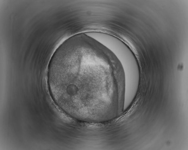 X0000099580899200806061624