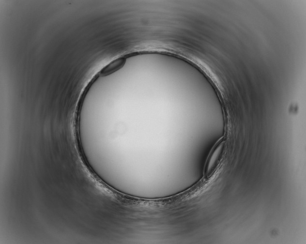 X0000099580901200806061624