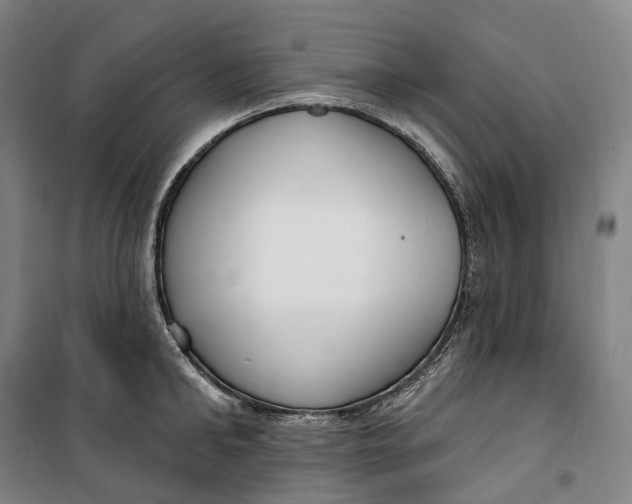 X0000099580902200806061624