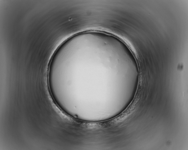 X0000099580903200806061624