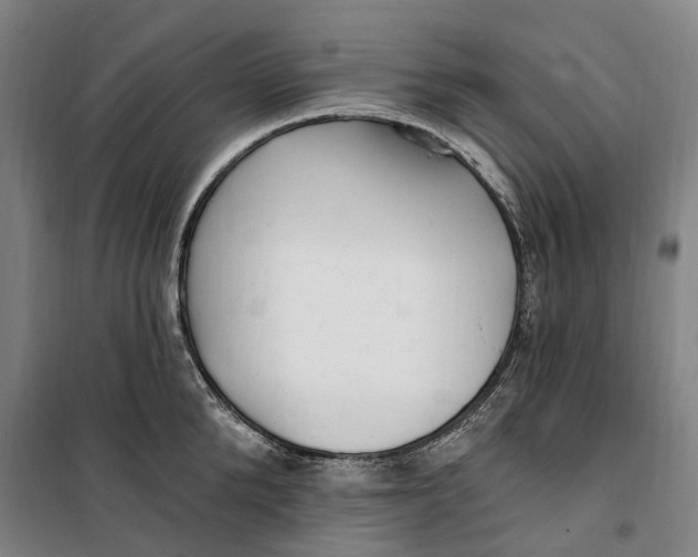 X0000099580904200806061624