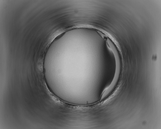 X0000099580905200806061624