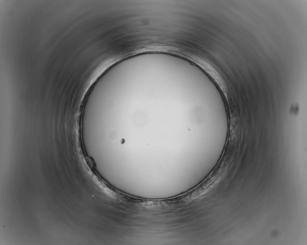 X0000099580906200806061624