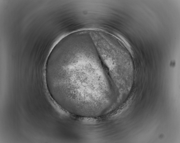 X0000099580907200806061624