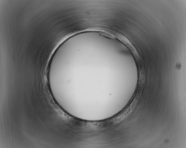 X0000099580908200806061624