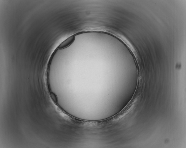 X0000099580909200806061624