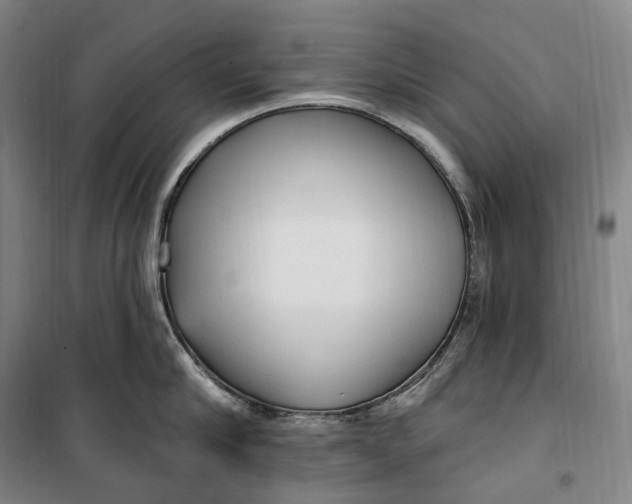 X0000099580910200806061624