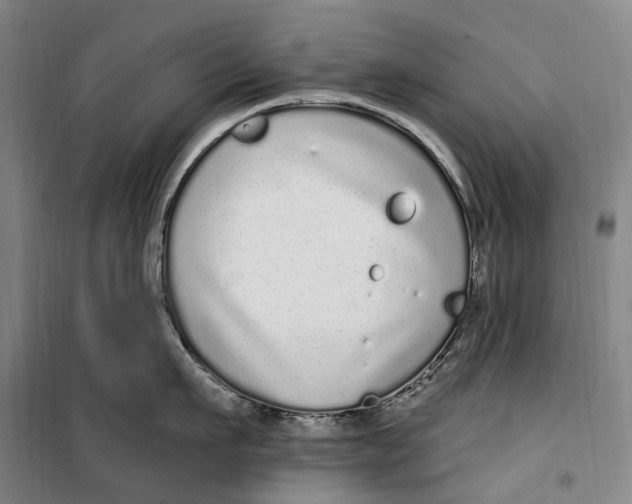 X0000099580911200806061624