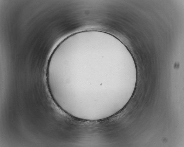 X0000099580912200806061624