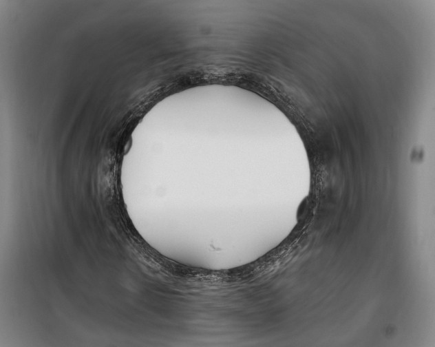 X0000099580914200806061623