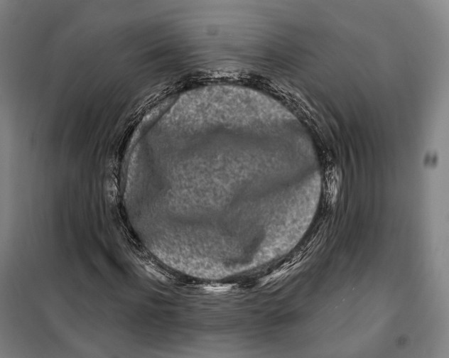 X0000099580916200806061623