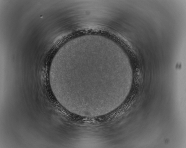 X0000099580918200806061623