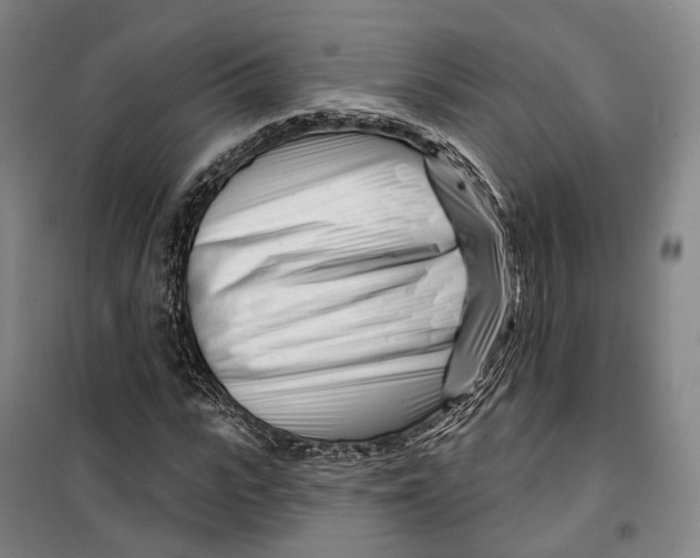 X0000099580919200806061623