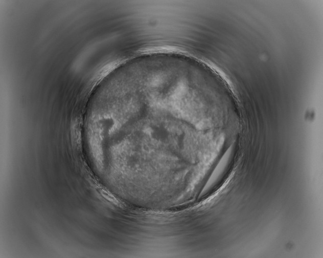 X0000099580921200806061623